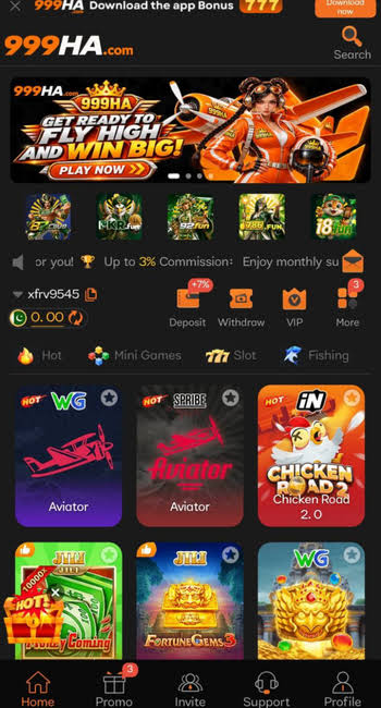 999HA Game